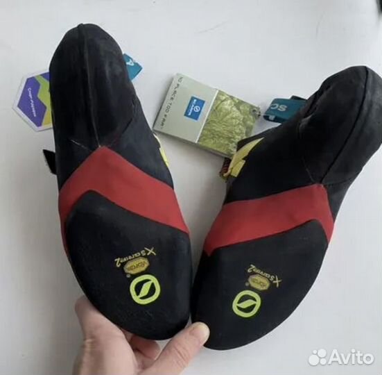 Скальные туфли