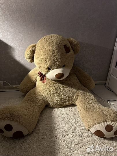 Плюшевый медведь