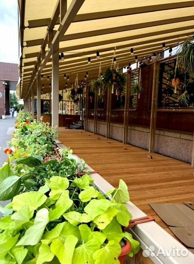 Лампы на проводе