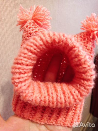 Одежда для животных