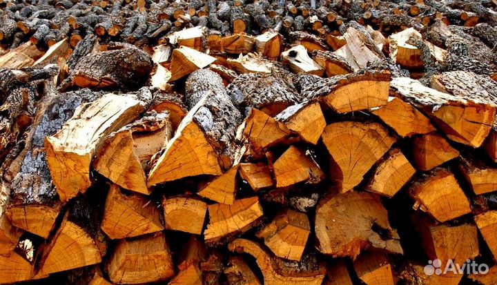 Дрова осина от производителя