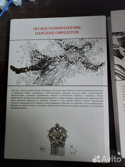 Фронт 14-17 и Дело Принципа