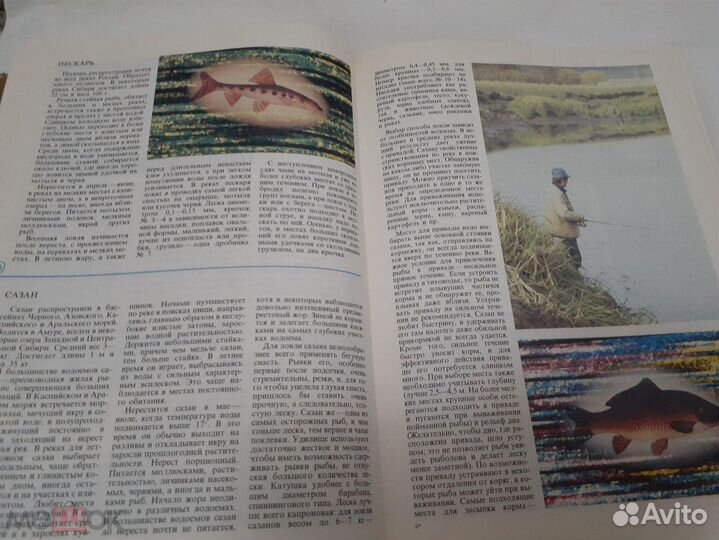 Ловить,рыбка