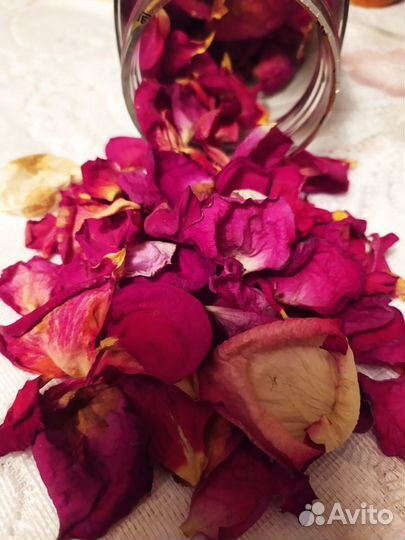 Флористика,сухоцветы,природный материал для подело