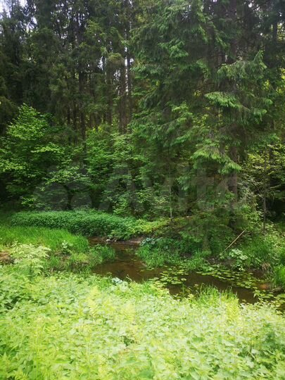 Участок 32 сот. (ИЖС)