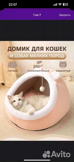 Домик для кошек и маленьких собак