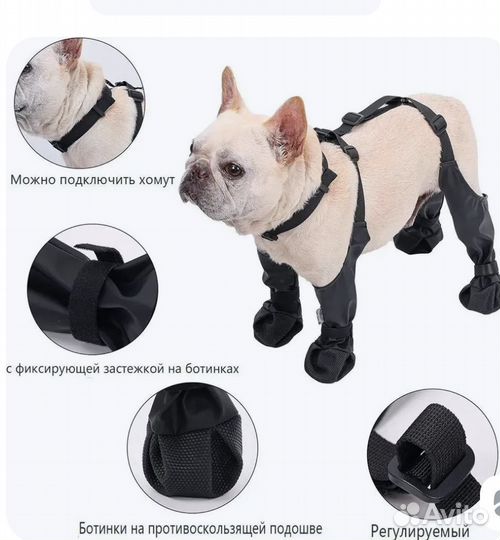 Обувь на подтяжкаж, для собак