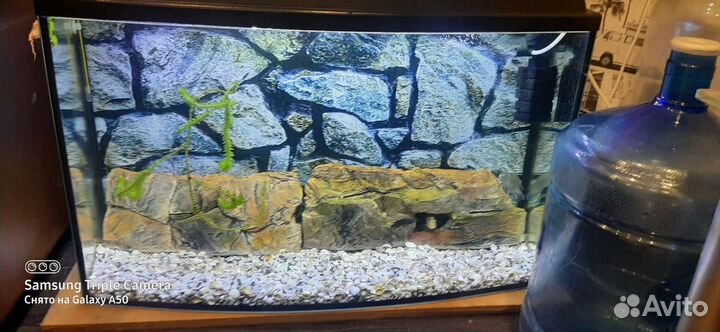 Аквариум акваэль