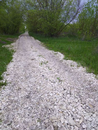 Участок 40 сот. (ИЖС)