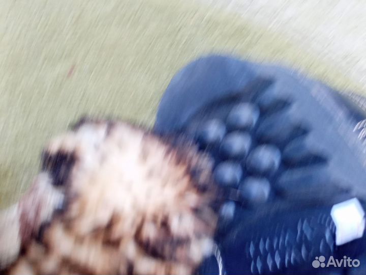 Сапоги мужские монголия