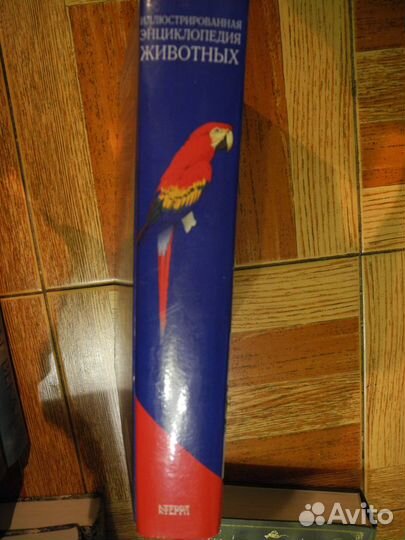 Иллюстрированная Эн-ия животных. Подарочное изд