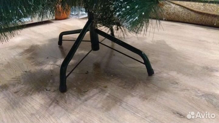 Сосна новогодняя 