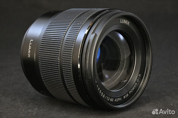 Panasonic 12-60 Lumix G Vario H-FS12060