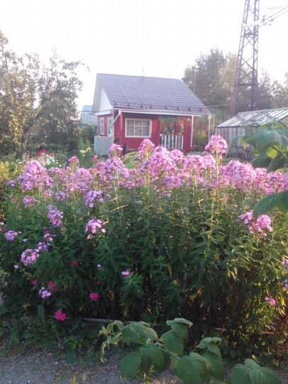 Дача 12 м² на участке 7 сот.