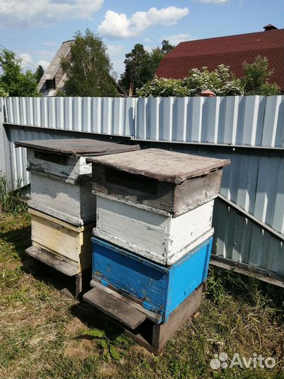 Ульи для пчел