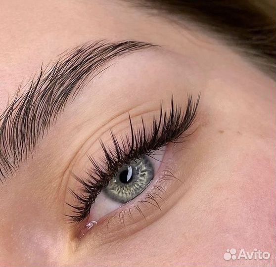Ресницы ЖК Суворовский