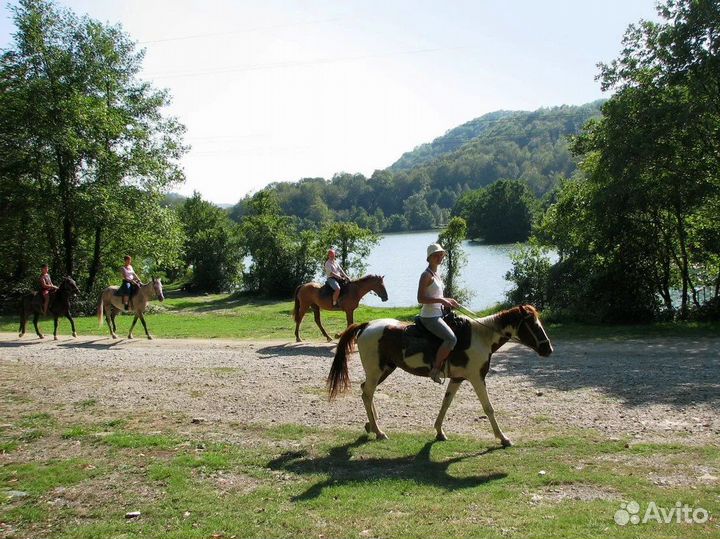 Конные прогулки в Адлере