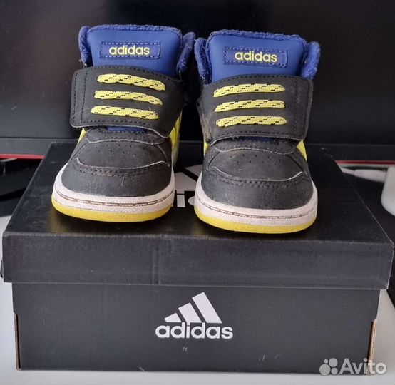 Кроссовки Adidas