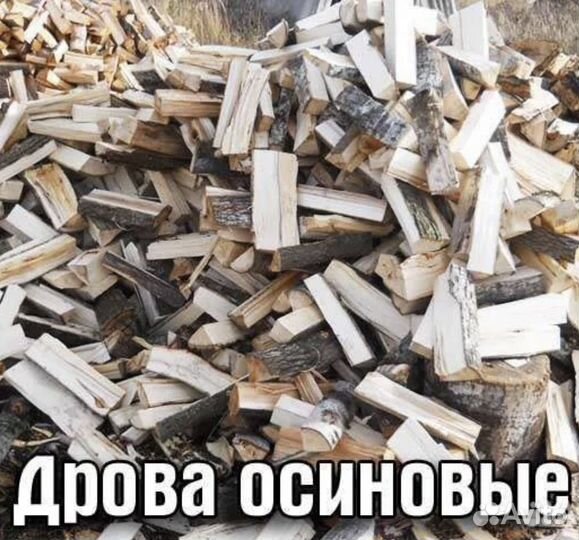 Дрова колотые осина