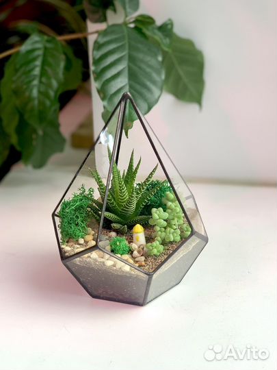 Флорариум с суккулентами