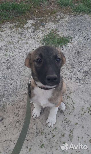 Мальчишки,6 мес