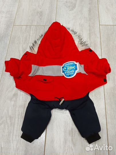 Одежда для собак мелких пород