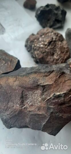 Метеорит железо каменный цена за один грамм