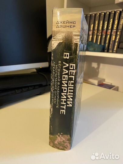 Бегущий в лабиринте