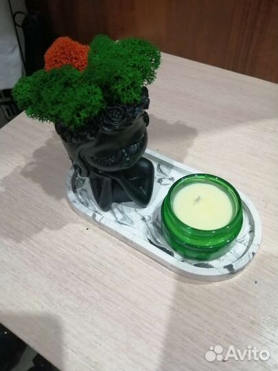 Кашпо со мхом