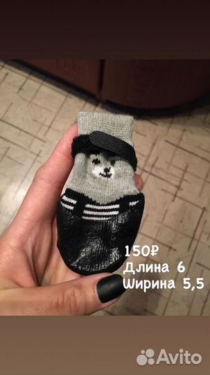 Обувь для собак