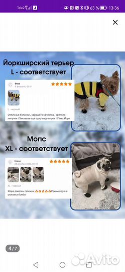 Обувь для собак мелких и средних пород на липучке