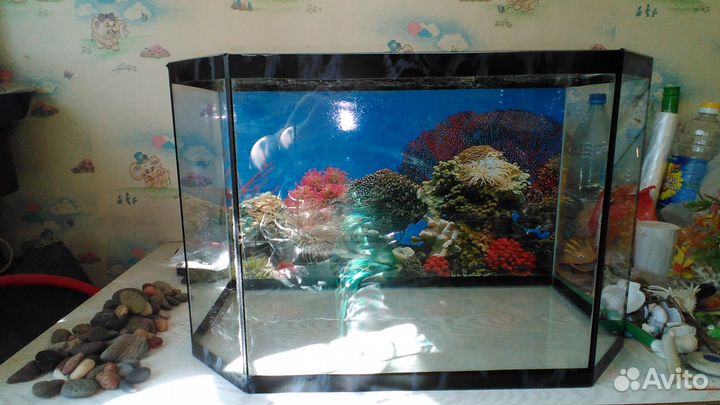 Аквариум -шестигранник б/у 35 л. и всё содержимое