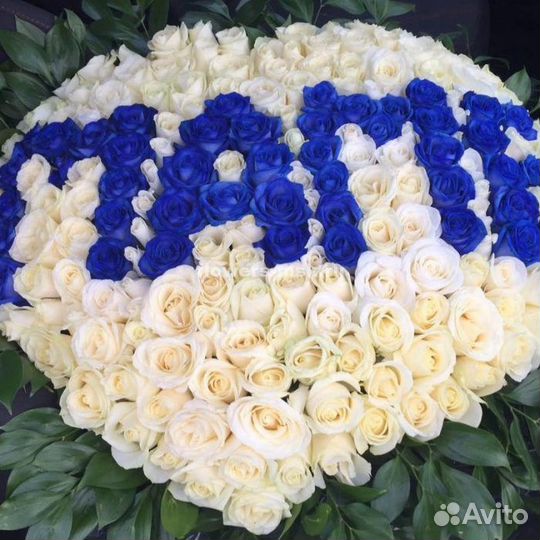 101 Роза 51 Роза