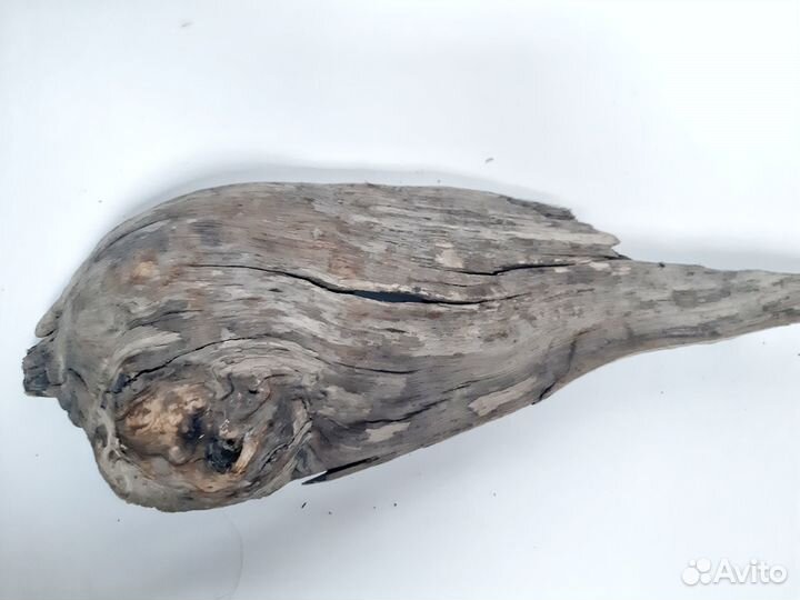 Коряга для моссариума