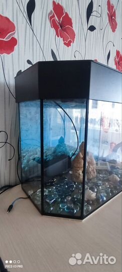 Аквариум