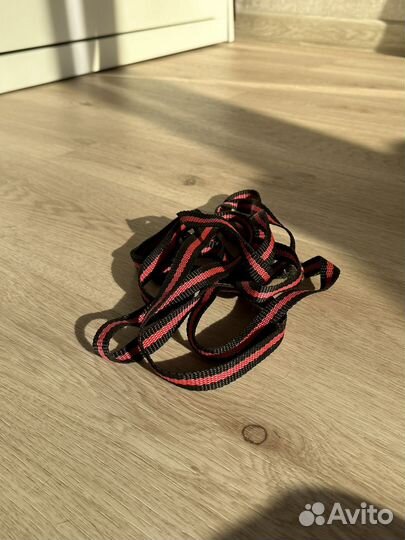 Амуниция для собак