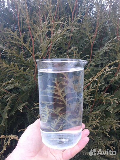 Доставка родниковой, колодезной воды