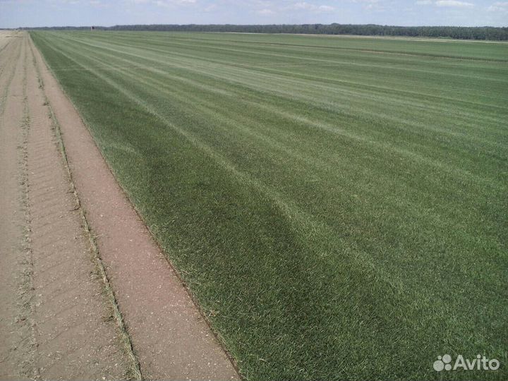 Услуги Манипулятора