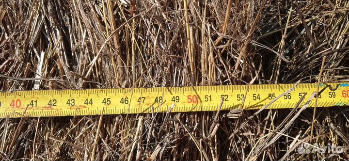 Сено в мини рулонах