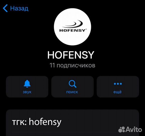 Футболка Hofensy 