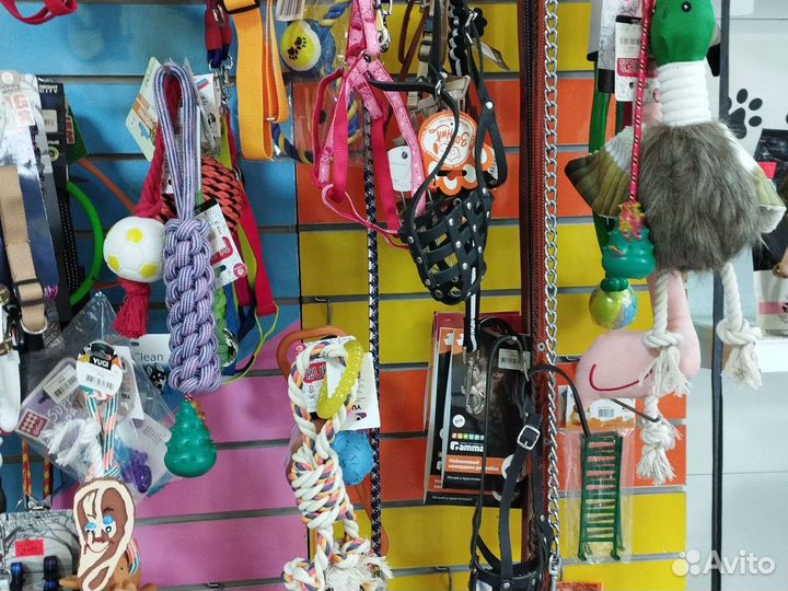 Товары для животных