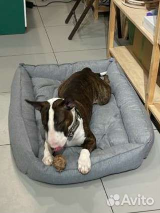 Лежанка для собак и кошек