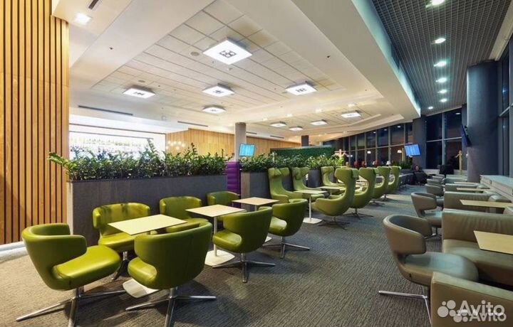 Проходки в бизнес залы РФ и зарубежья every lounge