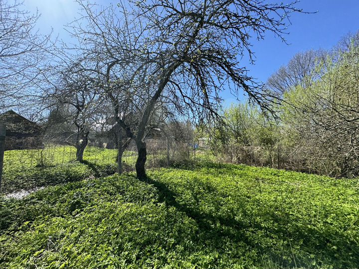 Участок 4,2 сот. (ИЖС)