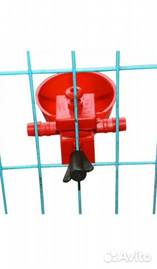 Авто поилки для птиц