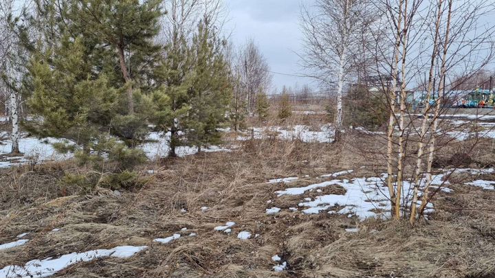 Участок 15 сот. (СНТ, ДНП)