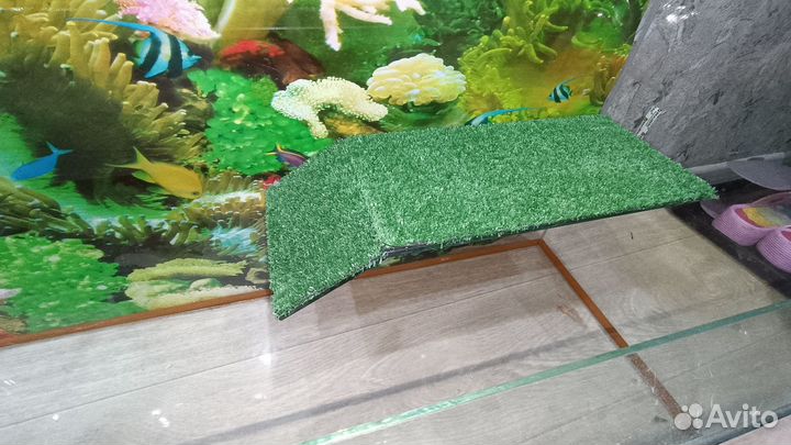 Аквариум с бережком