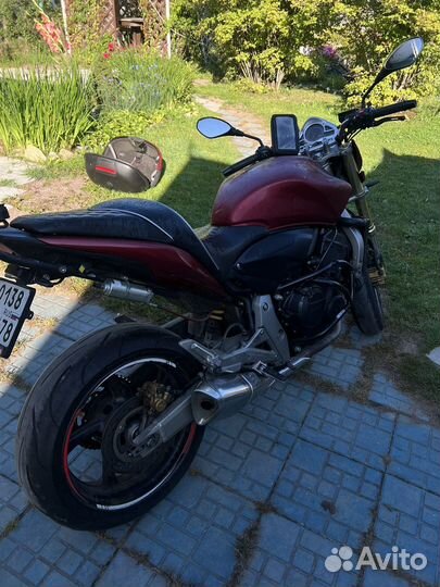 Honda cb600f (Hornet)