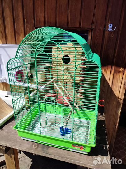 Клетка для попугая с домиком для птенцов