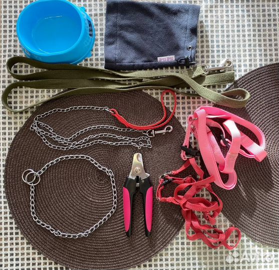 Вещи для собак и кошек